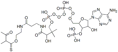 S-[2-[3-[[4-[[[5-(6-aminopurin-9-yl)-4-hydroxy-3-phosphonooxyoxolan-2-yl]methoxy-hydroxyphosphoryl]oxy-hydroxyphosphoryl]oxy-2-hydroxy-3,3-dimethylbutanoyl]amino]propanoylamino]ethyl] 2-methyl-3-oxobutanethioate Struktur