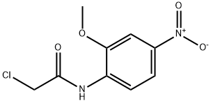 2-Chloro-N-(2-methoxy-4-nitro-phenyl)-acetamide|2-氯-N-(2-甲氧基-4-硝基-苯基)乙酰胺