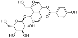 CATALPIN Structure