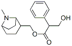 3-Hydroxy-2-phenylpropionic acid (8-methyl-8-azabicyclo[3.2.1]octan-2-yl)methyl ester 结构式