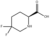 (S)-5,5-二氟哌啶-2-羧酸, 675605-32-0, 结构式