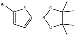 5-溴噻吩-2-硼酸频哪醇酯, 676501-84-1, 结构式