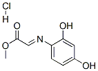 methyl (2,4-dihydroxyphenyl)iminoacetate hydrochloride Structure