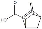 Bicyclo[2.2.1]hept-5-ene-2-carboxylic acid, 3-methylene-, exo- (9CI) 化学構造式
