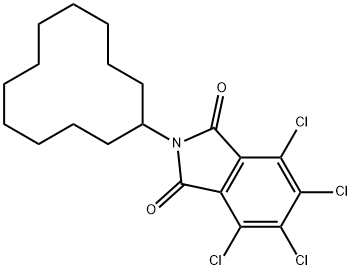 3,4,5,6-tetrachloro-N-cyclododecylphthalimide Struktur