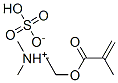 [2-(methacryloyloxy)ethyl]dimethylammonium hydrogen sulphate Struktur