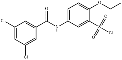 5-(3,5-DICHLORO-BENZOYLAMINO)-2-ETHOXY-BENZENESULFONYL CHLORIDE Structure