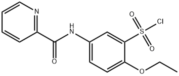 2-ETHOXY-5-(PYRIDINE-2-CABOXAMIDO) BENZENE-1-SULFONYL CHLORIDE Structure