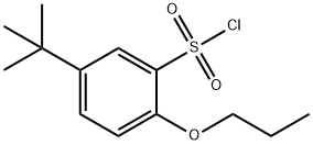5-(叔丁基)-2-丙氧基苯-1-磺酰氯 结构式