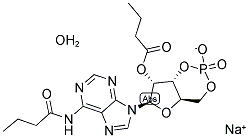 N6,2ˊ-O-二丁酰基腺苷 3ˊ,5ˊ-环磷酸钠盐(一水), 681435-26-7, 结构式