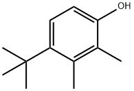 4-(1,1-ジメチルエチル)-2,3-ジメチルフェノール 化学構造式