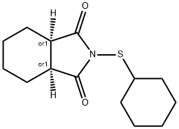 2-(シクロヘキシルチオ)-3aα,4,5,6,7,7aα-ヘキサヒドロ-1H-イソインドール-1,3(2H)-ジオン 化学構造式