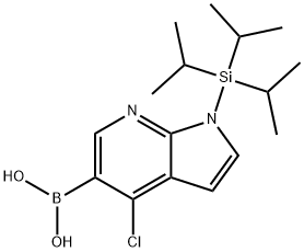 (9CI)-[4-氯-1-[三(1-甲基乙基)硅酯]-1H-吡咯并[2,3-B]吡啶-5-基]-硼酸 结构式