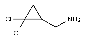 (2,2-二氯环丙基)甲胺, 68618-71-3, 结构式