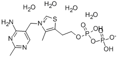 68684-55-9 辅羧酶四水合物