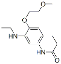 N-[3-(Ethylamino)-4-(2-methoxyethoxy)phenyl]propanamide Struktur