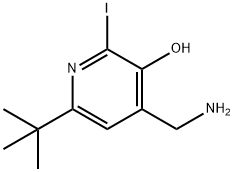 4-(aminomethyl)-6-(1,1-dimethylethyl)-2-iodo-3-pyridinol,69213-46-3,结构式