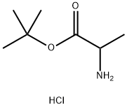 tert-Butyl 2-aminopropanoate hydrochloride Structure