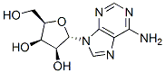 (2S,3S,4R,5R)-2-(6-aminopurin-9-yl)-5-(hydroxymethyl)oxolane-3,4-diol Struktur