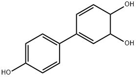 3,5-Cyclohexadiene-1,2-diol, 4-(4-hydroxyphenyl)- (9CI),69432-59-3,结构式