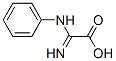 Acetic acid, imino(phenylamino)- (9CI) Struktur