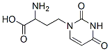 1-(3'-amino-3'-carboxypropyl)uracil|