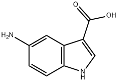 5-AMINO-1H-INDOLE-3-CARBOXYLIC ACID|5-氨基吲哚-3-甲酸