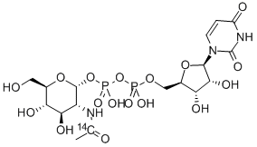 URIDINE DIPHOSPHATE N-ACETYL-D-GLUCOSAMINE, [ACETYL-1-14C] 结构式