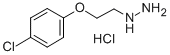 1-(2-(4-chlorophenoxy)ethyl)hydrazine Structure