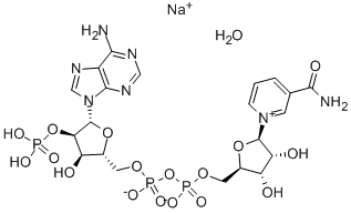β-Nicotinamide adenine dinucleotide phosphate sodium salt 化学構造式