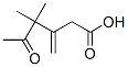 4,4-ジメチル-3-メチレン-5-オキソヘキサン酸 化学構造式
