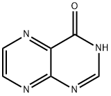 プテリジン-4-オール 化学構造式