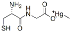 methylmercury cysteinylglycine 化学構造式