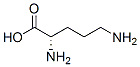 2,5-ジアミノ吉草酸 化学構造式
