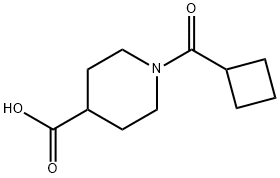 1-(シクロブチルカルボニル)-4-ピペリジンカルボン酸 化学構造式