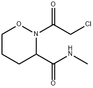 2H-1,2-Oxazine-3-carboxamide, 2-(chloroacetyl)tetrahydro-N-methyl- (9CI) Structure