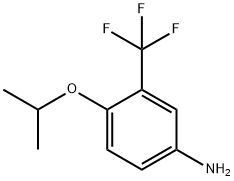 4-イソプロポキシ-3-(トリフルオロメチル)アニリン 化学構造式