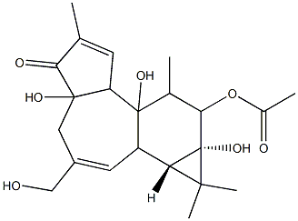 (1aR)-9β-アセチルオキシ-1,1aα,1bβ,4,4a,7aα,7b,8,9,9a-デカヒドロ-4aβ,7bα,9aα-トリヒドロキシ-3-ヒドロキシメチル-1,1,6,8α-テトラメチル-5H-シクロプロパ[3,4]ベンゾ[1,2-e]アズレン-5-オン 化学構造式