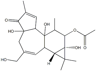 PHORBOL 12-MONOACETATE, 4BETA Structure