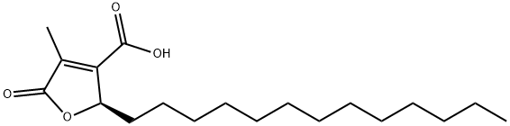 (R)-2-tridecyl-2,5-dihydro-4-methyl-5-oxo-3-furoic acid Structure