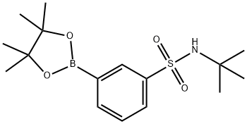 3-(tert-butylaMino)sulfonyl-phenylboronic acid pinacol ester Struktur