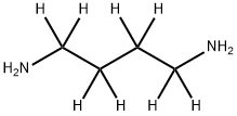 1,4-BUTANE-D8-DIAMINE Structure