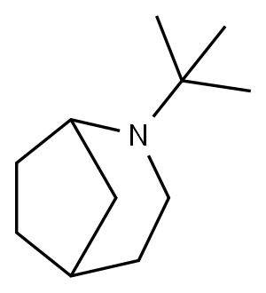 2-Azabicyclo[3.2.1]octane,2-(1,1-dimethylethyl)- Structure