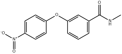 3-(4-NITROPHENOXY)-N-METHYLBENZAMIDE Struktur