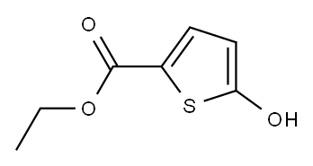 5-Hydroxy-2-thiophenecarboxylic acid ethyl ester, 7210-60-8, 结构式