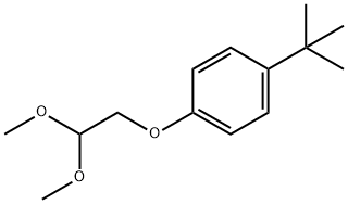 1-(2,2-Dimethoxyethoxy)-4-(1,1-dimethylethyl)benzene Struktur