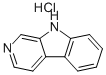 NORHARMANE HYDROCHLORIDE Struktur