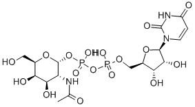 ウリジン5'-[二りん酸β-(2-アセチルアミノ-2-デオキシ-α-D-ガラクトピラノシル)] 化学構造式