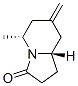 3(2H)-Indolizinone,hexahydro-5-methyl-7-methylene-,(5R,8aS)-(9CI) Structure