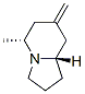 Indolizine, octahydro-5-methyl-7-methylene-, (5R,8aS)- (9CI) Struktur